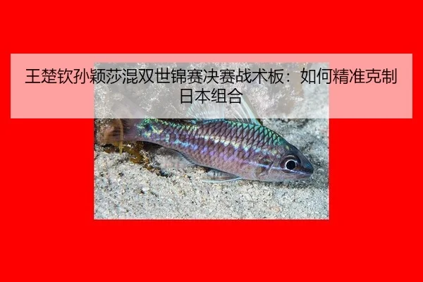 wang-chu-qin-sun-ying-sha-hun-shuang-shi-jin-sai-jue-sai-zhan-shu-ban-ru-he-jing-zhun-ke-zhi-ri-ben-zu-he-2-276.jpg