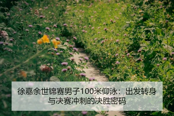 徐嘉余世锦赛男子100米仰泳：出发转身与决赛冲刺的决胜密码
