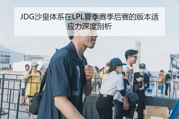 JDG沙皇体系在LPL夏季赛季后赛的版本适应力深度剖析