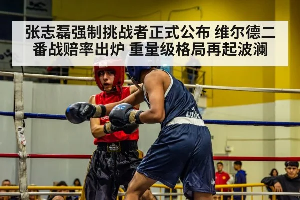 张志磊强制挑战者正式公布 维尔德二番战赔率出炉 重量级格局再起波澜