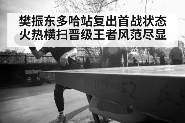 樊振东多哈站复出首战状态火热横扫晋级王者风范尽显